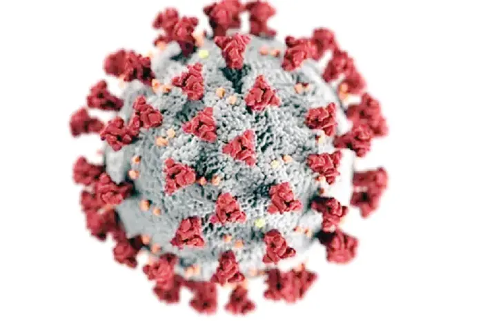 ভারতে করোনা সংক্রমণ সাত হাজার ছুঁইছুঁই