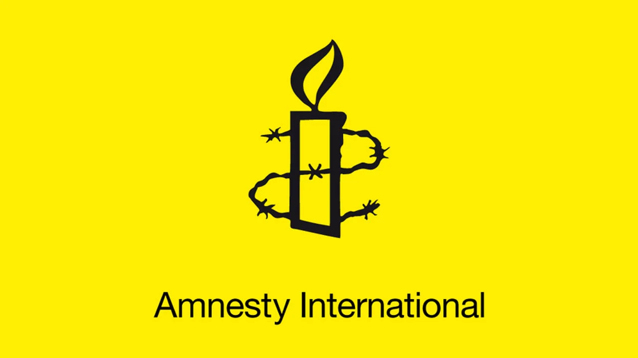 রোহিঙ্গাদের বাংলাদেশে পুশইন বন্ধে ভারতের প্রতি অ্যামনেস্টির আহ্বান