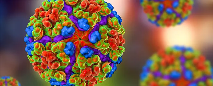 চিকুনগুনিয়া ভাইরাসের প্রাদুর্ভাব বিশ্বব্যাপী ঝুঁকি তৈরি করছে