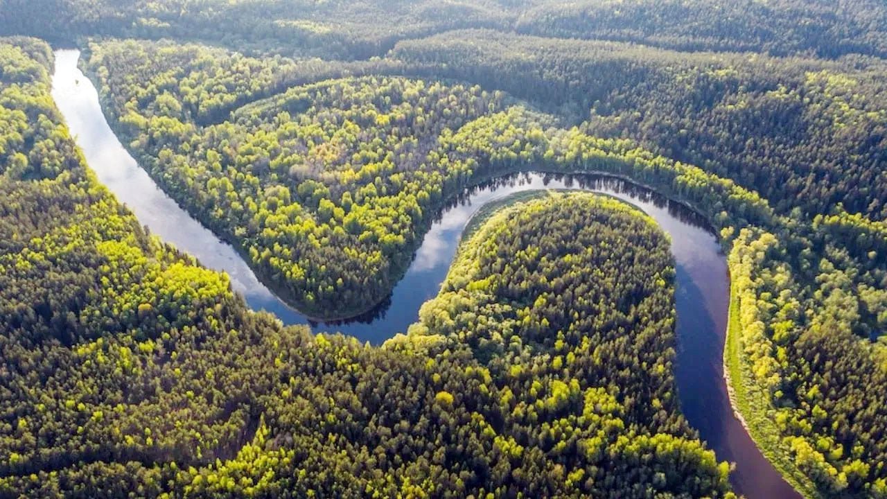 বিশ্বের সর্ববৃহৎ জঙ্গল আমাজন